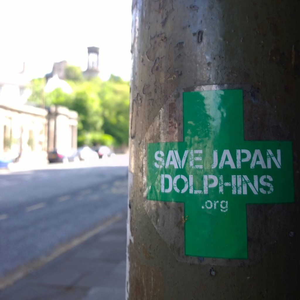 WP_20140717_10_52_06_Pro.jpg image