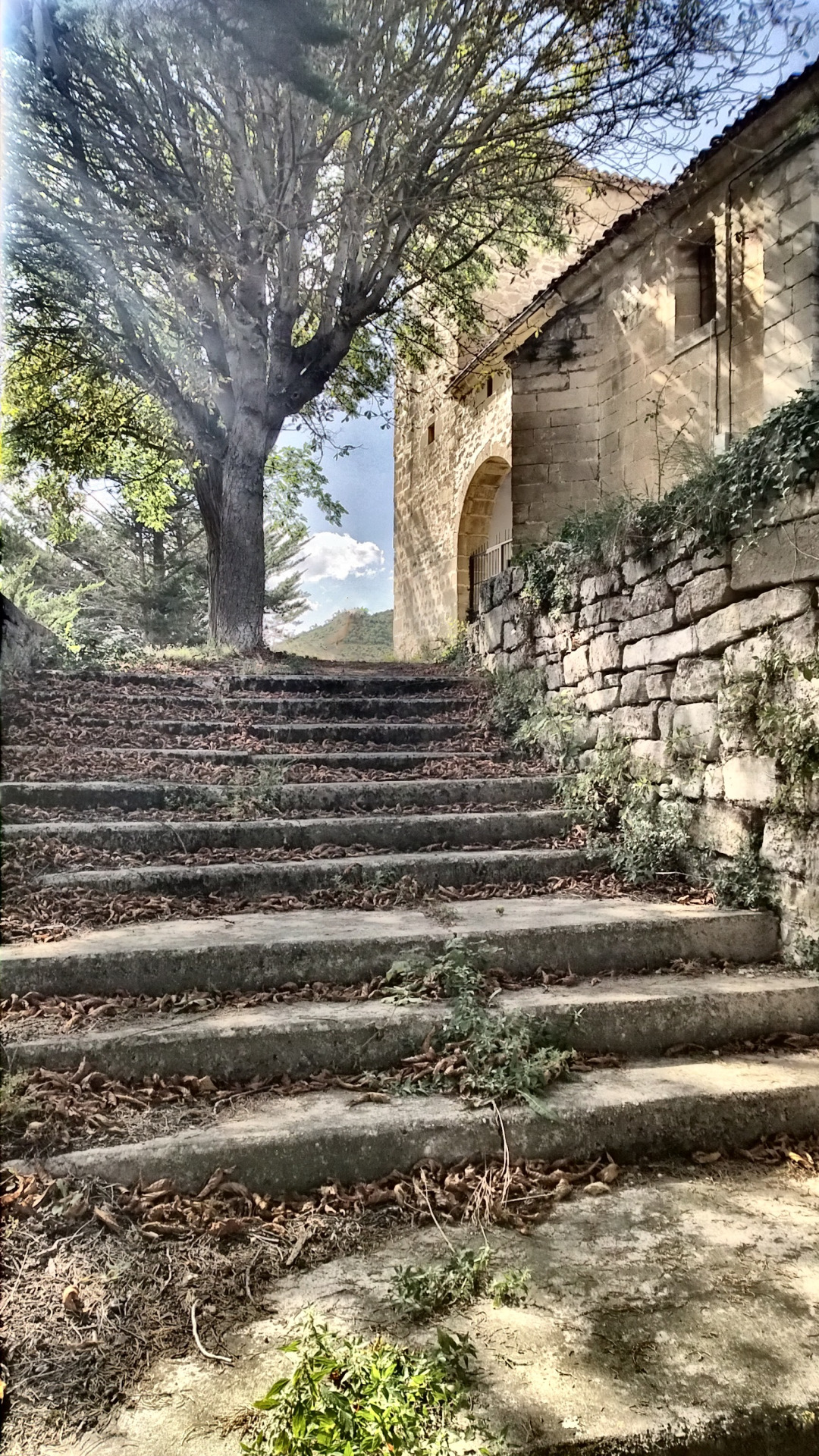 2014_08_03_17_42_41_HDR(1)